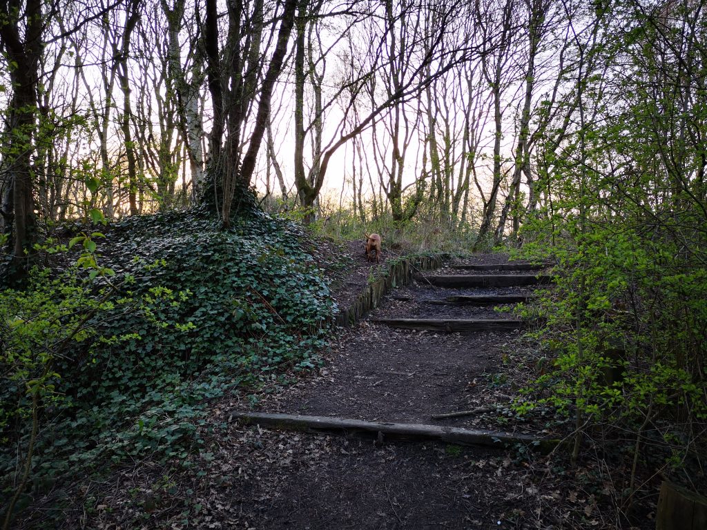 Halewood Triangle Park Meandering Paths